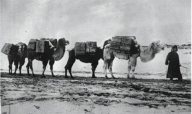 茶砖曾是连接中俄的“硬通货”